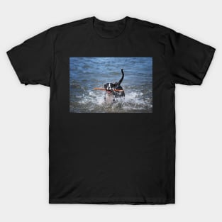 Dog Days Of Summer T-Shirt